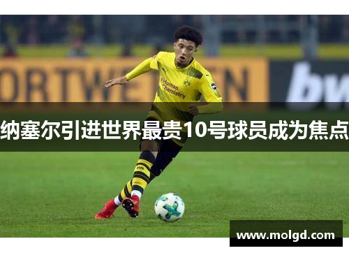 纳塞尔引进世界最贵10号球员成为焦点 纳塞尔引进世界最贵10号球员成为焦点